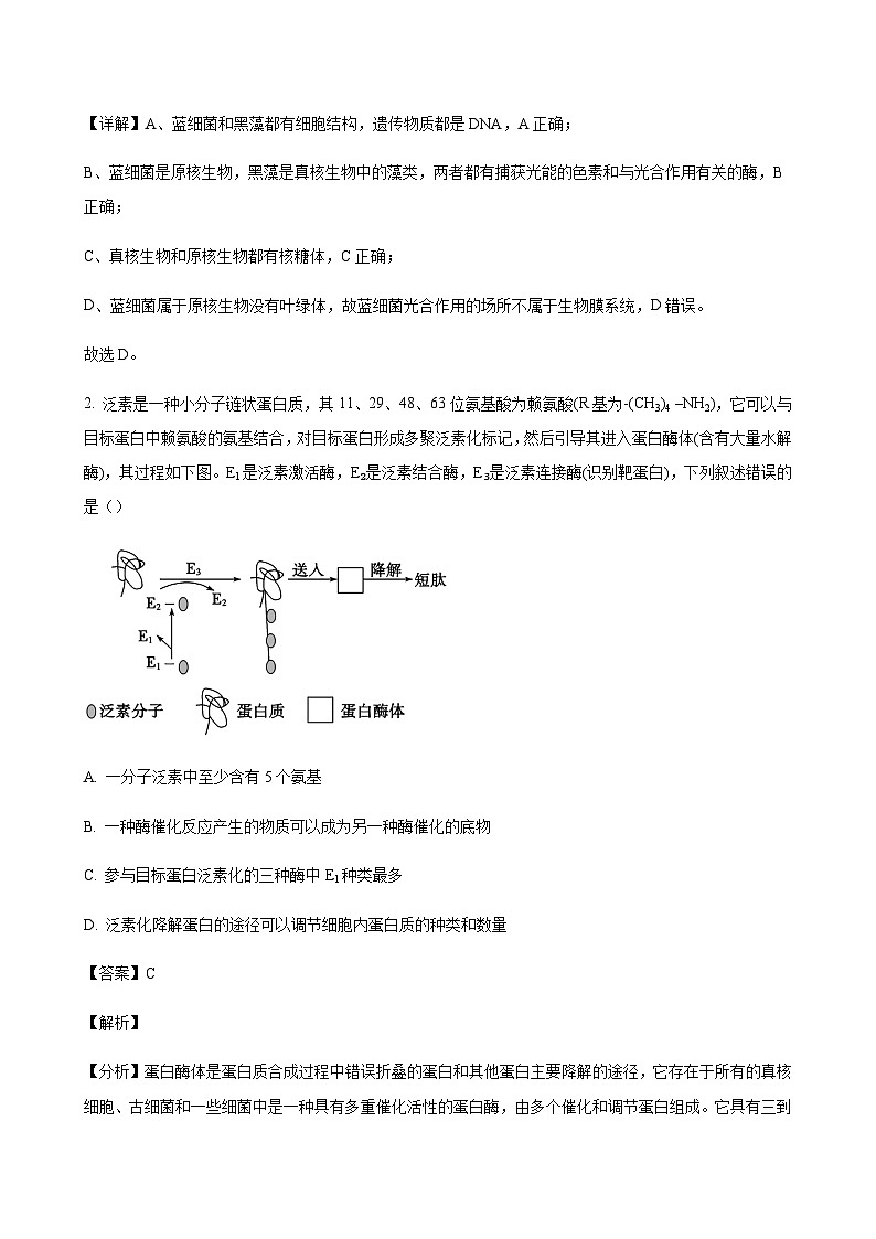 生物答案第2页