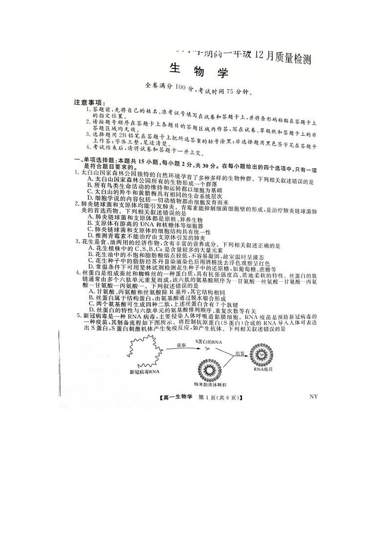 河南省新未来联考2023-2024学年高一上学期12月质量检测生物试题(PDF版附解析)01