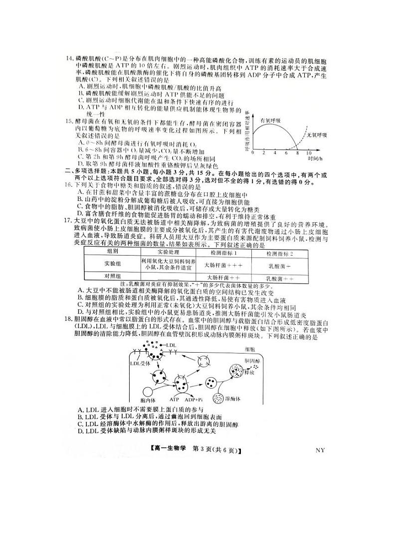 河南省新未来联考2023-2024学年高一上学期12月质量检测生物试题(PDF版附解析)03