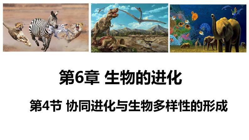 人教版高中生物必修二6.4协同进化与生物多样性的形成同步课件+同步分层练习（含答案解析）01