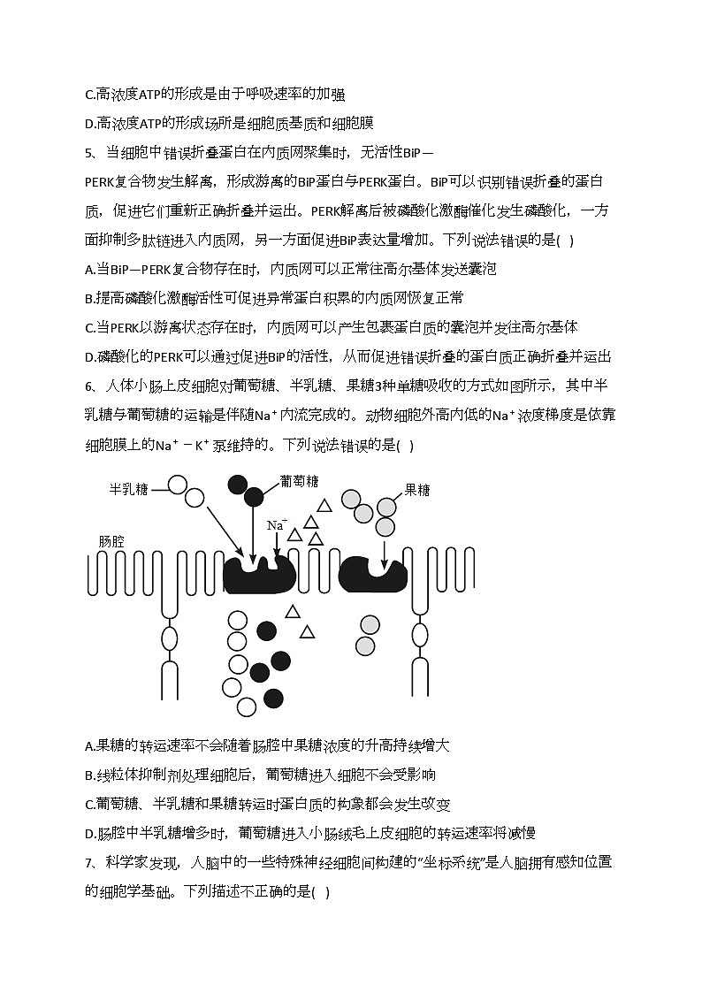 山东省东营市2022-2023学年高一上学期期末生物试题(含答案)02