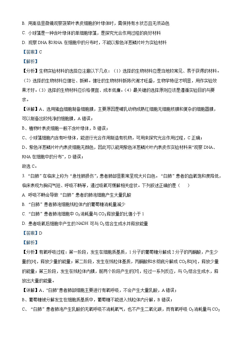 四川省内江市威远中学2023-2024学年高三上学期第三次月考生物试题(Word版附解析)第2页