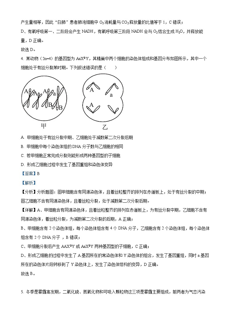 四川省内江市威远中学2023-2024学年高三上学期第三次月考生物试题(Word版附解析)第3页