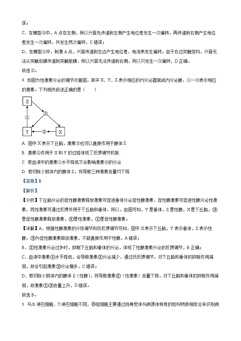 河北省保定市部分高中2023-2024学年高二上学期期中生物试题(解析版)第3页