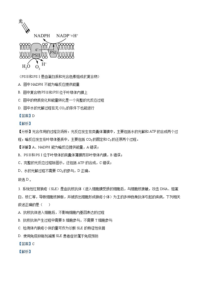 云南省昆明市云南师大附中2023-2024学年高三上学期高考适应性月考卷(六)理综生物试题(解析版) - 副本02