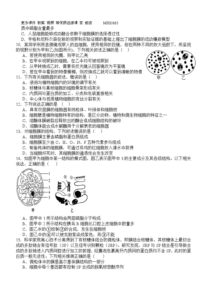 四川省宜宾市叙州区第一中学校2023-2024学年高一上学期12月月考生物试题第2页
