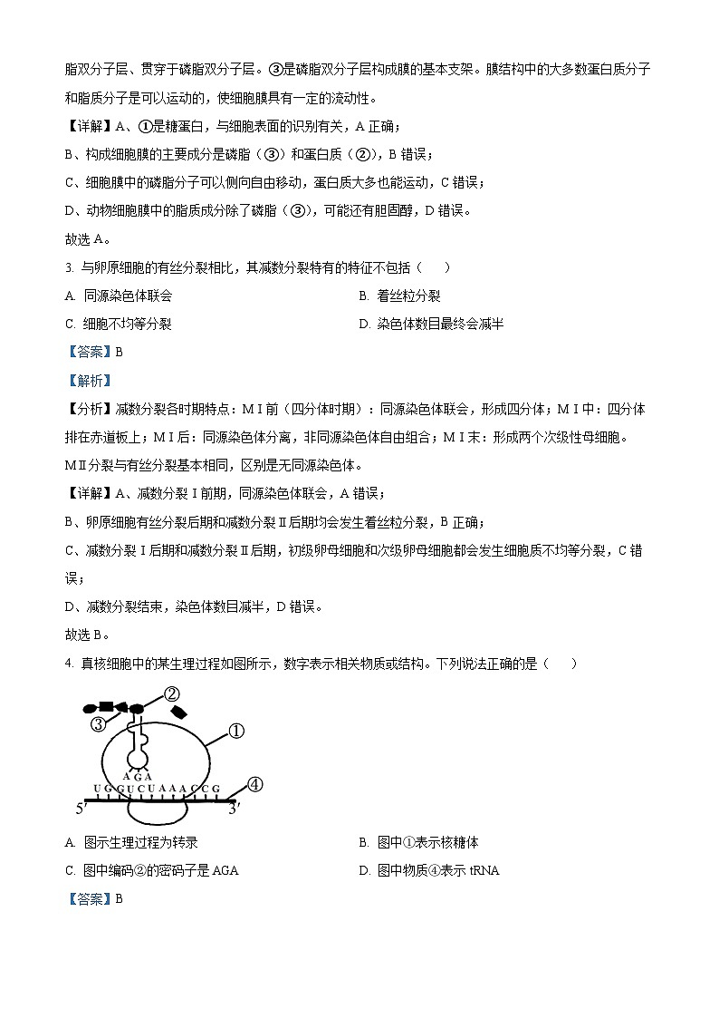 湖南省百校大联考2023-2024学年高二12月月考生物试题含解析第2页