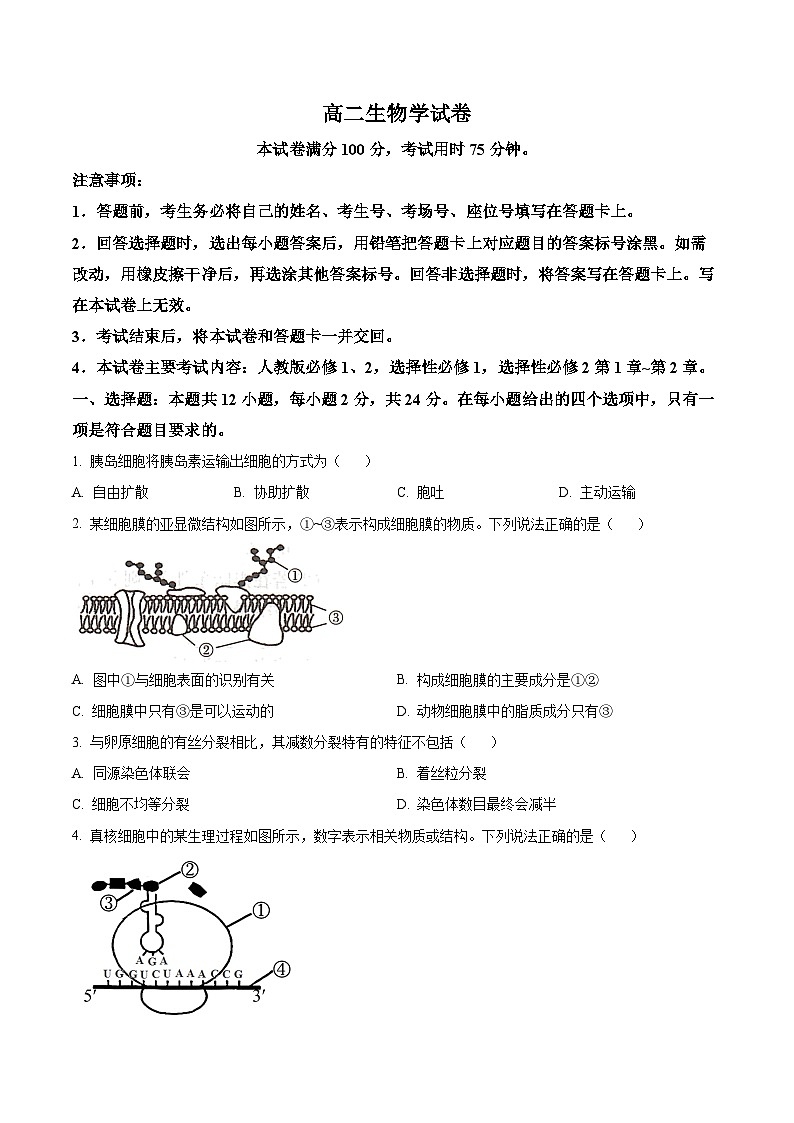 湖南省百校大联考2023-2024学年高二12月月考生物试题(原卷版)第1页