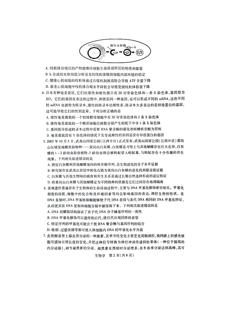 江西省2023-2024學年高三上學期12月統(tǒng)一調(diào)研測試生物第2頁
