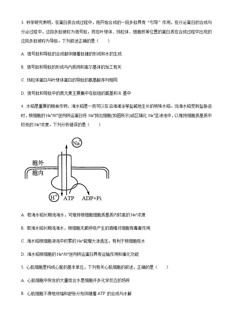 2023-2024学年安徽省芜湖一中皖南八校高三上学期第一次大联考生物试题含解析02
