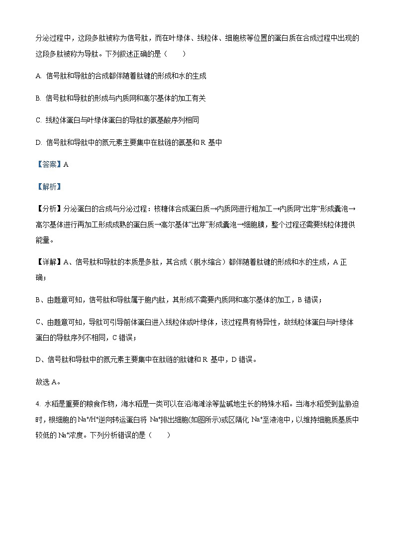 2023-2024学年安徽省芜湖一中皖南八校高三上学期第一次大联考生物试题含解析03