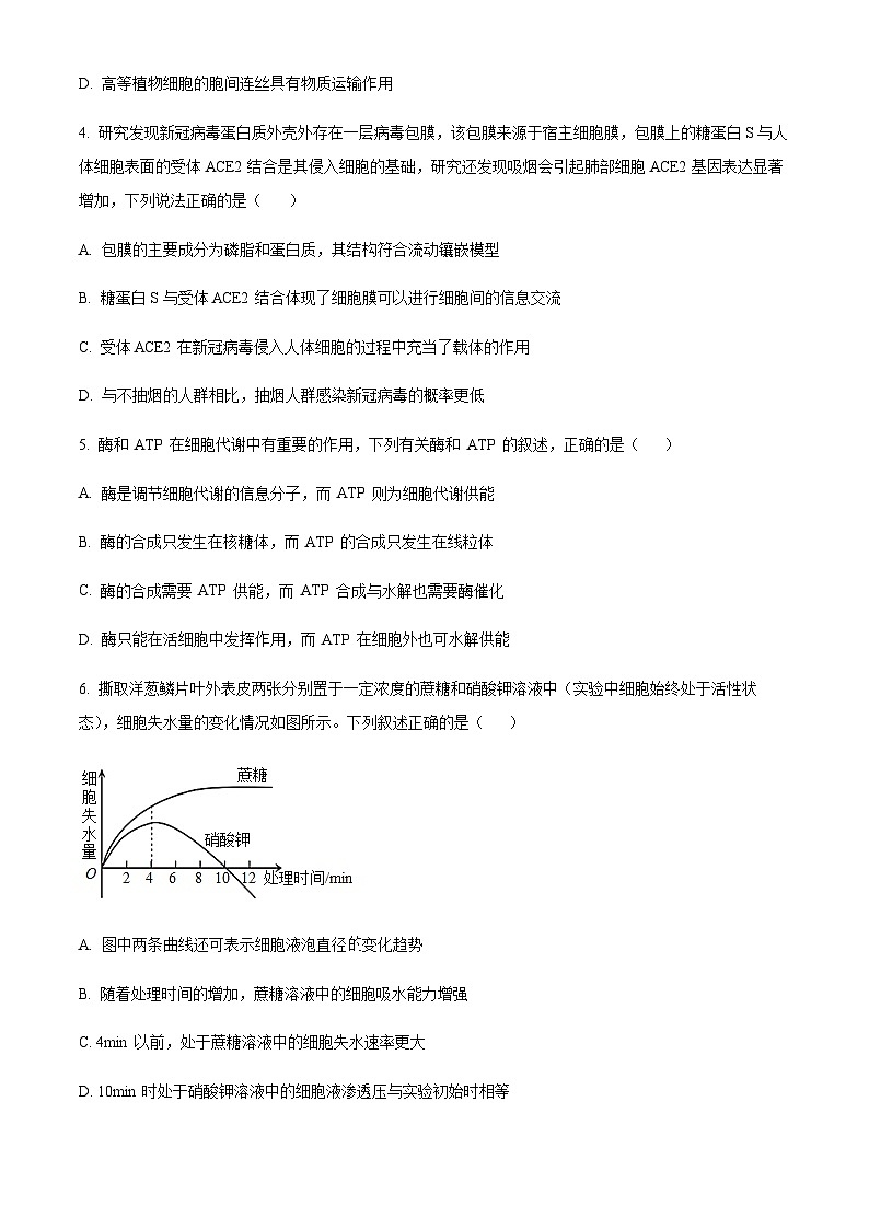 四川省内江市六中2023-2024学年高三上学期入学考试生物试题 Word版无答案第2页