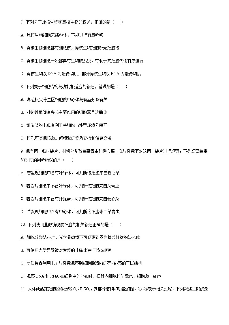 四川省内江市六中2023-2024学年高三上学期入学考试生物试题 Word版无答案第3页