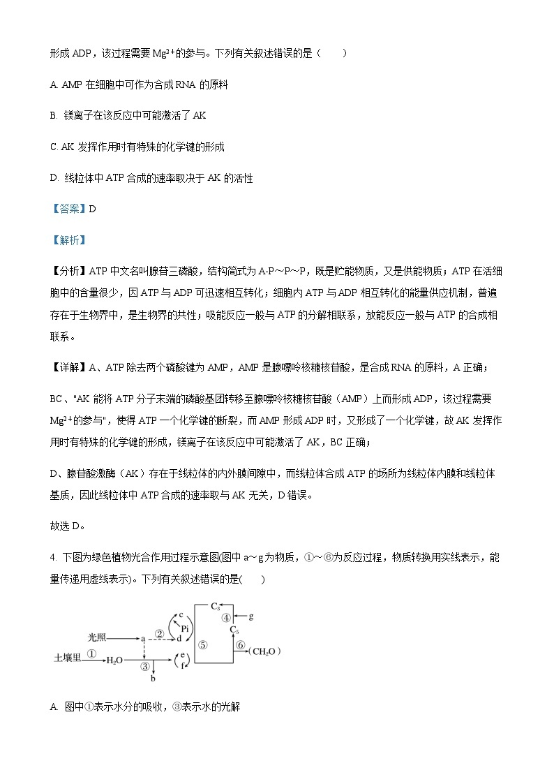 四川省成都市七中2023-2024学年高三上学期入学考试理综生物试题含解析03