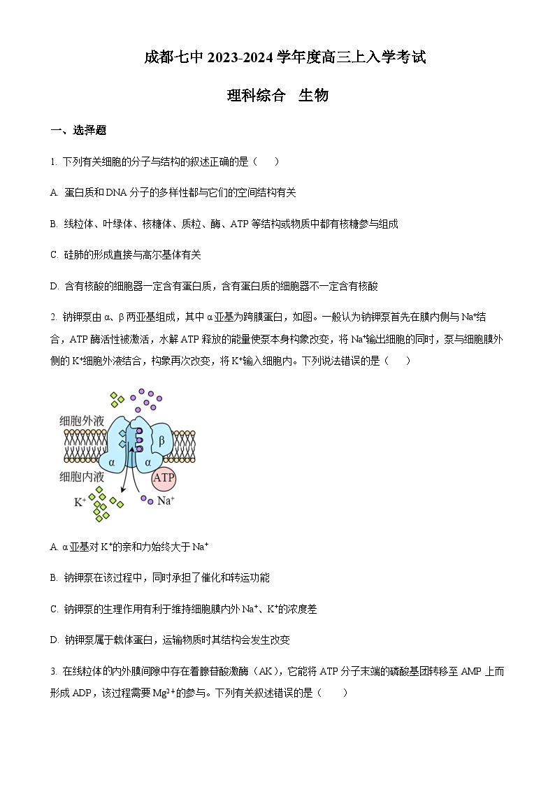 四川省成都市七中2023-2024学年高三上学期入学考试理综生物试题含解析01