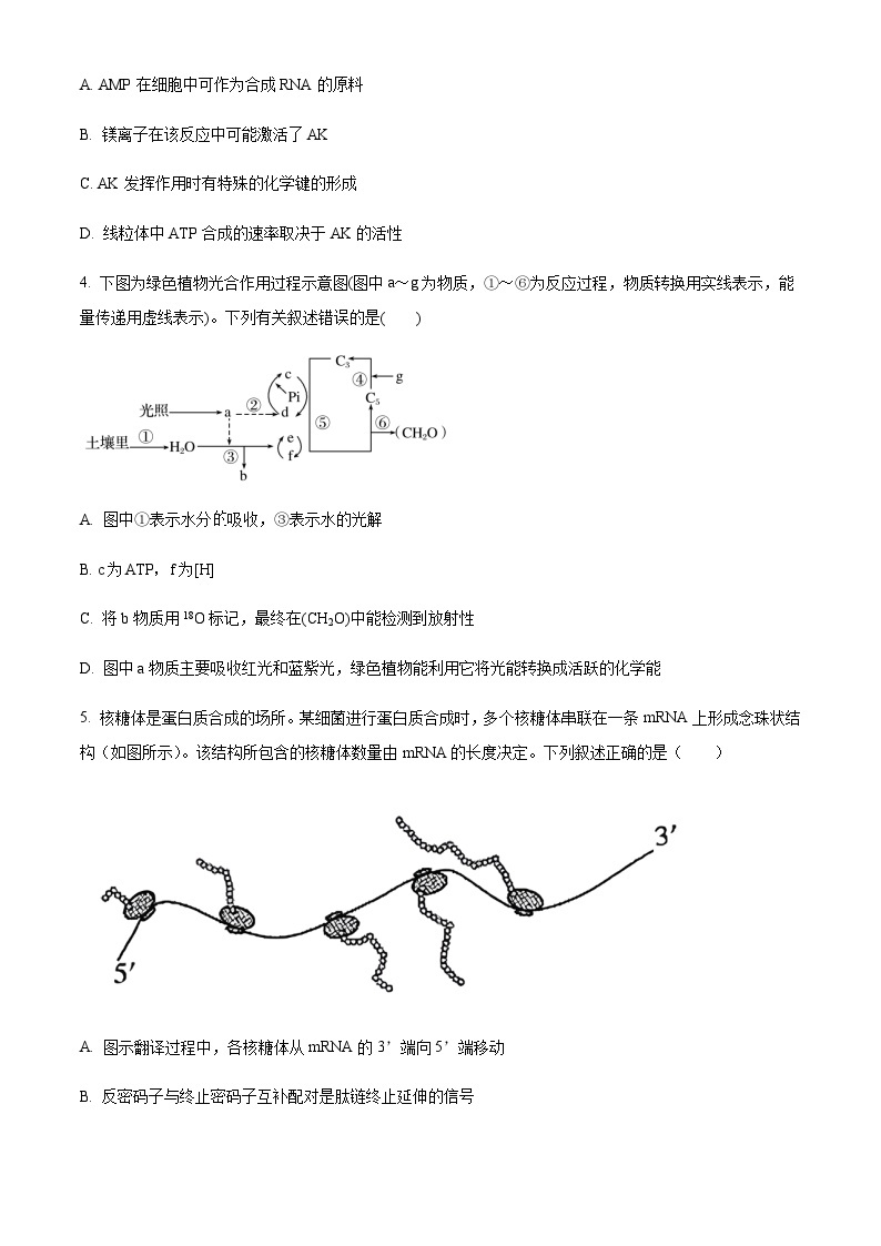 四川省成都市七中2023-2024学年高三上学期入学考试理综生物试题含解析02