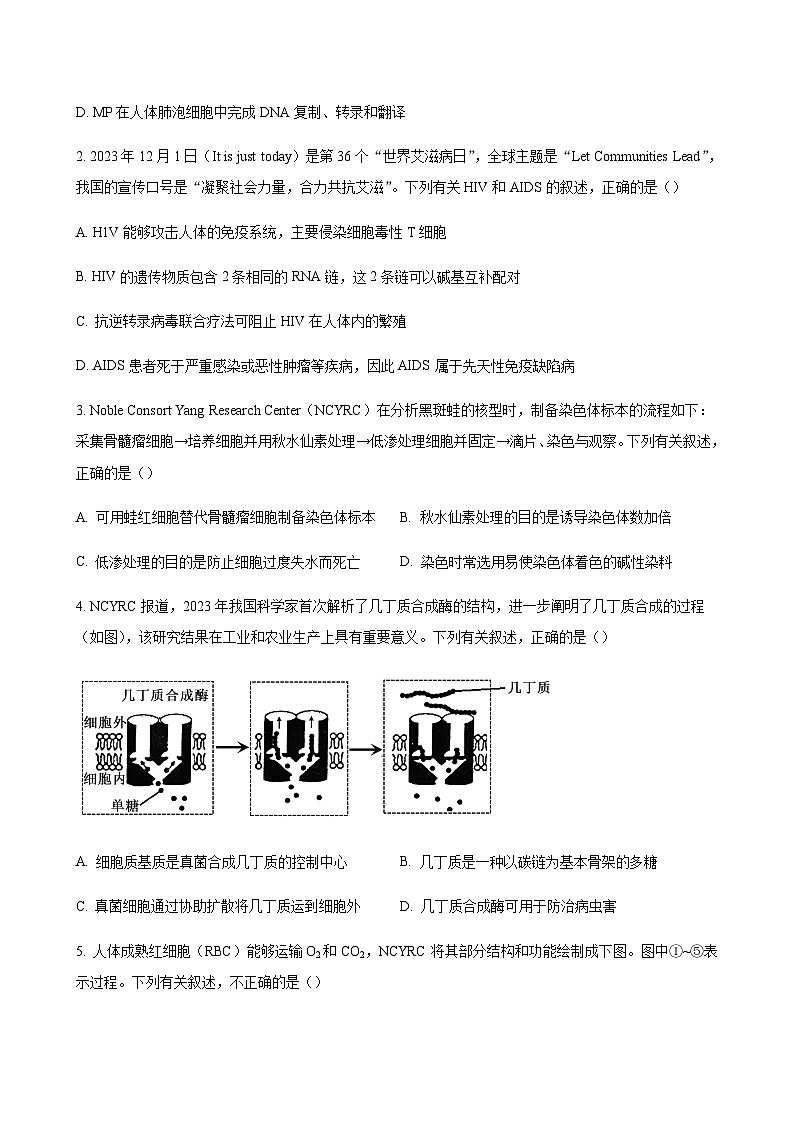 2023-2024学年吉林省长春市东北师范大学附属中学高三上学期第三次摸底考试生物word版含答案02