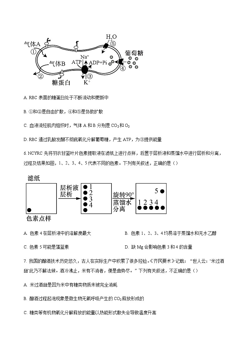 2023-2024学年吉林省长春市东北师范大学附属中学高三上学期第三次摸底考试生物word版含答案03