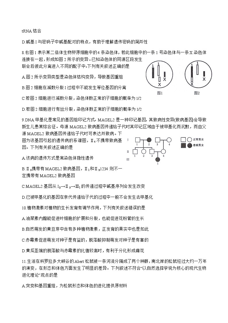 生物试题第3页
