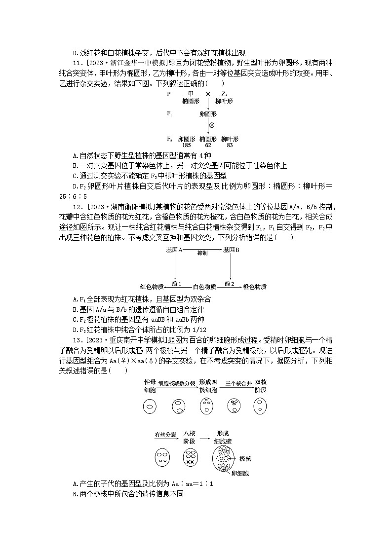 统考版2024届高考生物二轮专项分层特训卷第一部分专题强化演练五遗传因子的发现(附解析)第3页