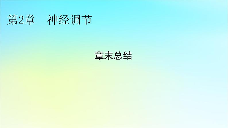 新教材2024版高中生物第2章神经调节章末总结课件新人教版选择性必修1第1页