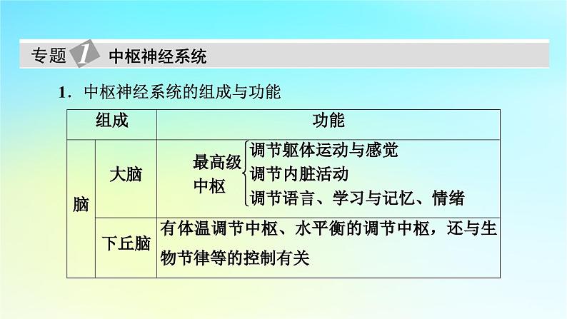 新教材2024版高中生物第2章神经调节章末总结课件新人教版选择性必修1第5页