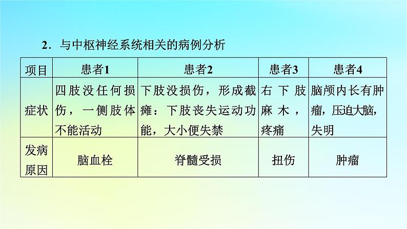 新教材2024版高中生物第2章神经调节章末总结课件新人教版选择性必修1第7页