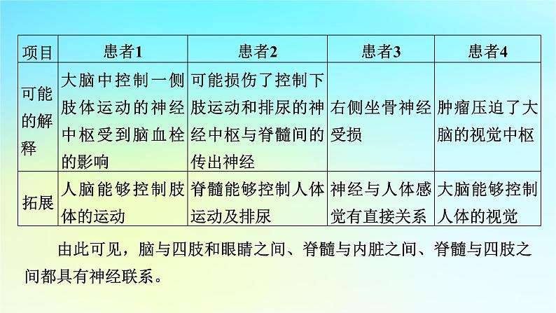 新教材2024版高中生物第2章神经调节章末总结课件新人教版选择性必修1第8页