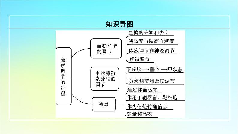 新教材2024版高中生物第3章体液调节第2节激素调节的过程课件新人教版选择性必修103