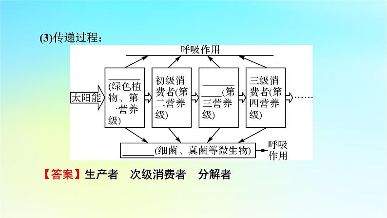 新教材2024版高中生物第3章生态系统及其稳定性第2节生态系统的能量流动课件新人教版选择性必修2第6页