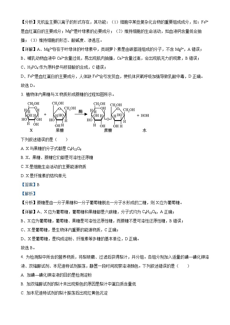 浙江省浙南名校联盟2023-2024学年高一12月联考生物试题(Word版附解析)第2页