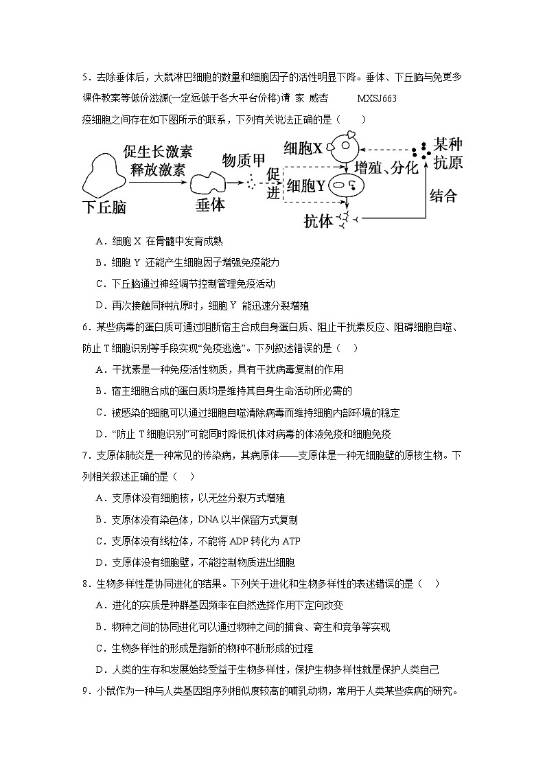 2024届湖北省松滋市第一中学高三迎荆州一检生物模拟试卷(3)02