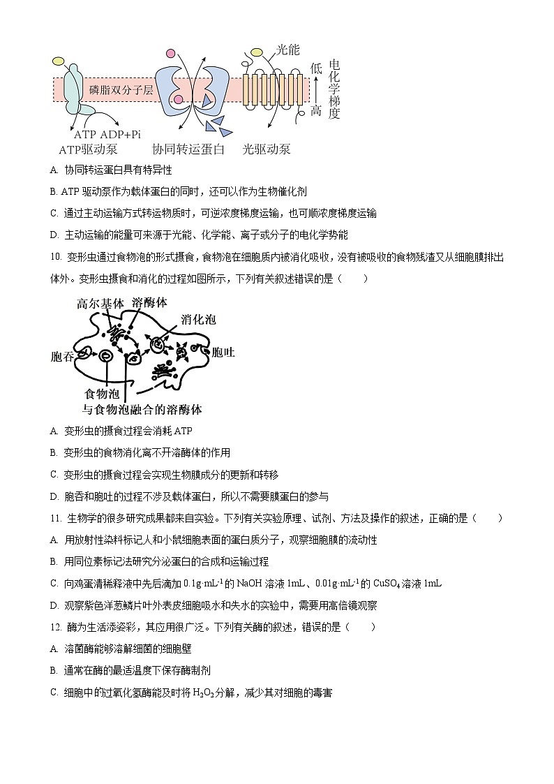 山西省部分重点高中2023-2024学年高一上学期12月联考生物试题03