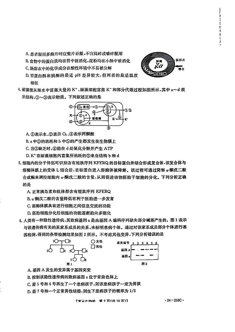 山西省忻州市名校2023-2024学年高三上学期12月联合质量检测试题+生物+PDF版含答案第2页