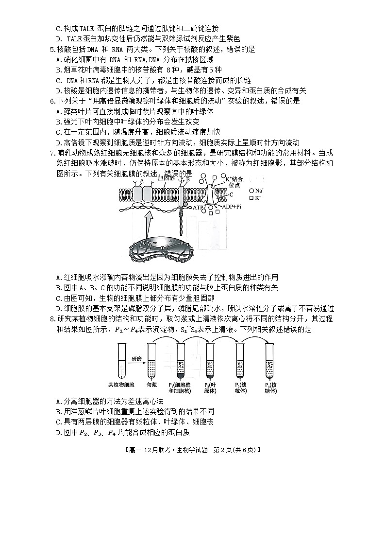 2024安徽省县中联盟高一上学期12月月考试题生物含解析02