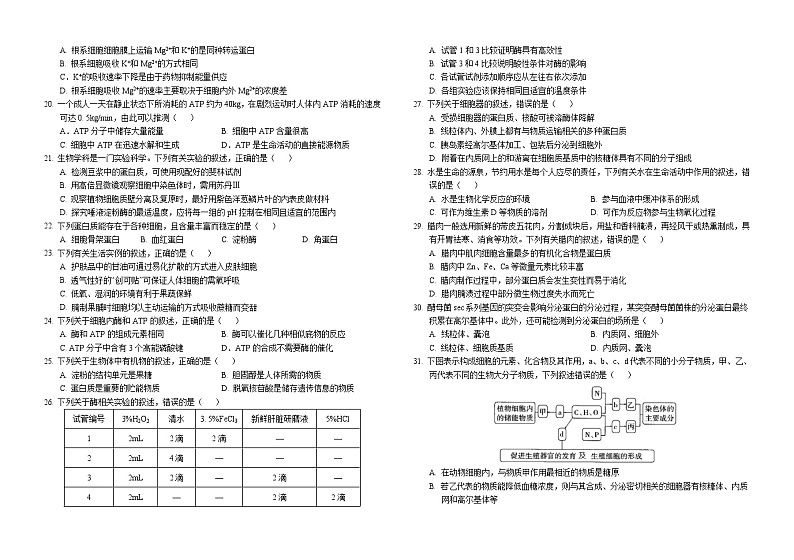 2024南充高级中学高一上学期12月月考试题生物含答案02