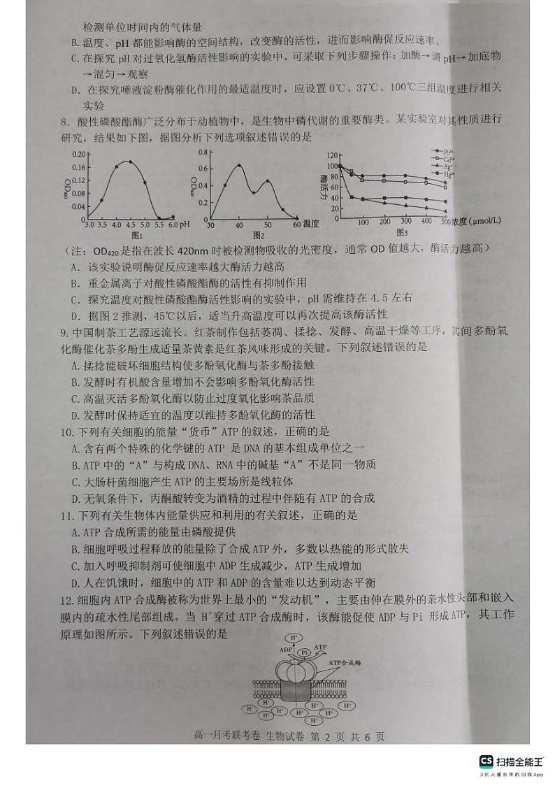 2024开封五县联考高一上学期12月期中考试生物PDF版含答案第2页
