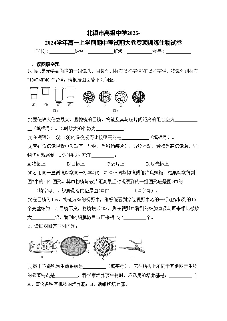 北镇市高级中学2023-2024学年高一上学期期中考试前大卷专项训练生物试卷(含答案)01