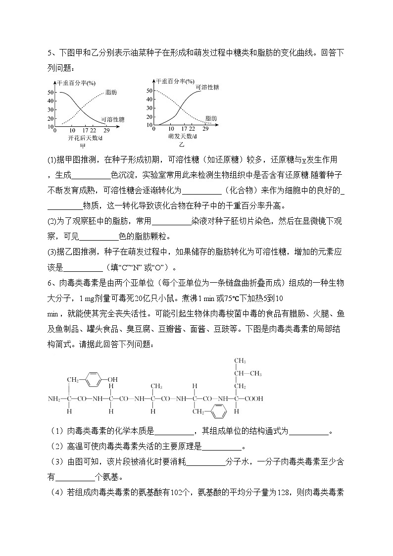 北镇市高级中学2023-2024学年高一上学期期中考试前大卷专项训练生物试卷(含答案)03