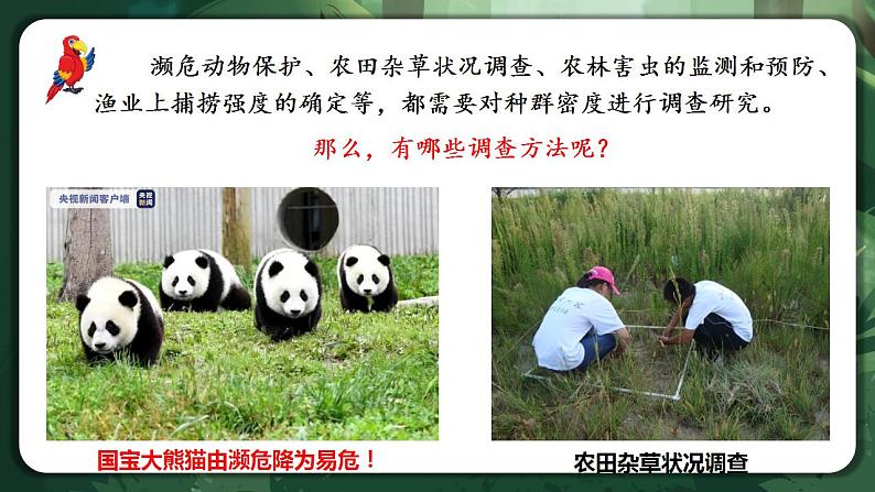 【名师特供】1.1《 种群的数量特征》 课件第8页