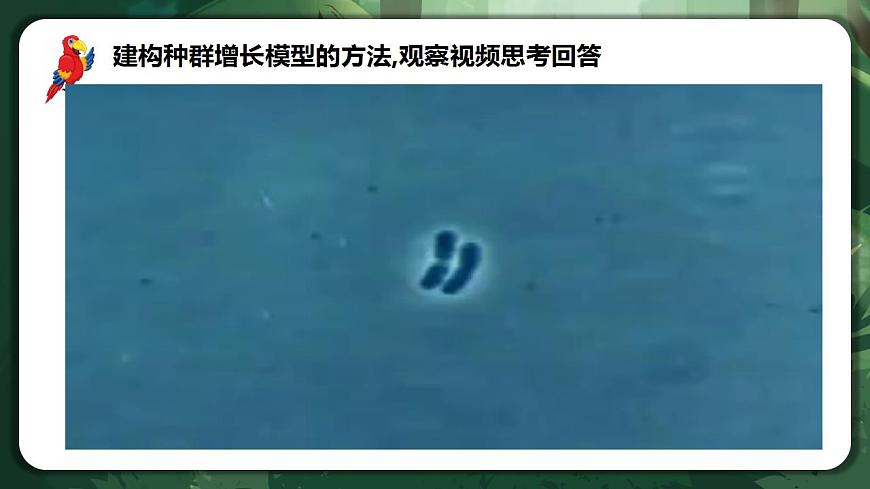 【名師特供】1.2.1 《種群數(shù)量的變化》 課件第2頁