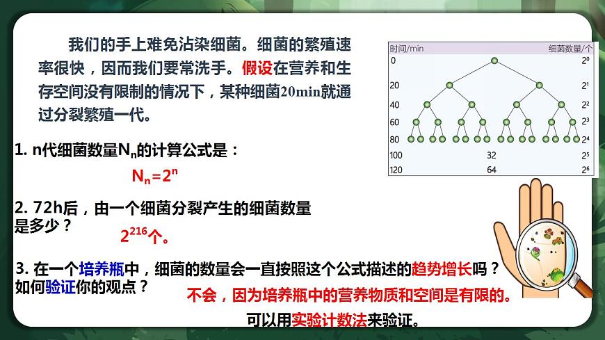 【名師特供】1.2.1 《種群數(shù)量的變化》 課件第3頁