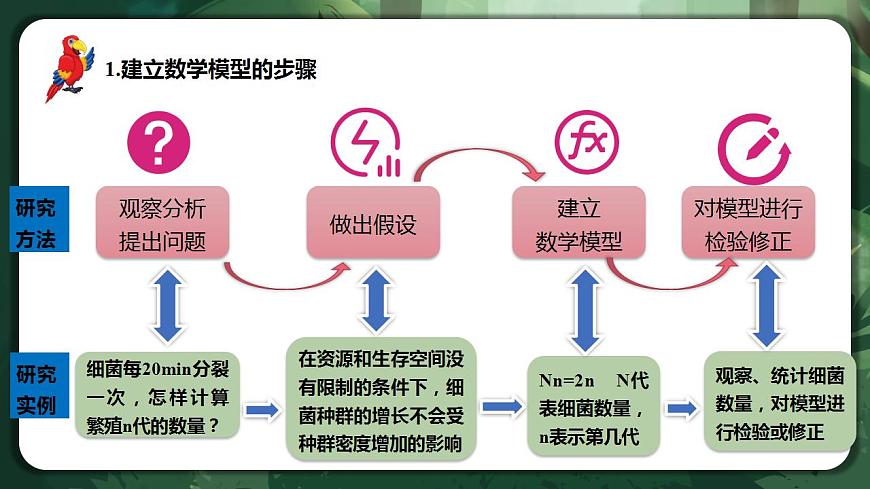 【名師特供】1.2.1 《種群數(shù)量的變化》 課件第5頁