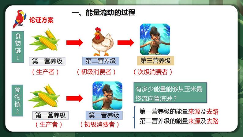 【名师特供】3.2.1《生态系统的能量流动(第1课时) 课件+练习(原卷+解析卷)05