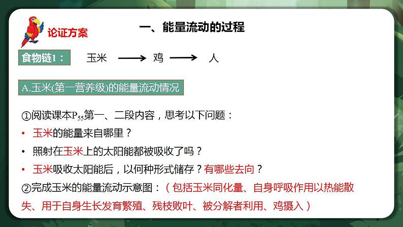 【名师特供】3.2.1《生态系统的能量流动(第1课时) 课件+练习(原卷+解析卷)06