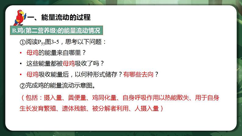 【名师特供】3.2.1《生态系统的能量流动(第1课时) 课件+练习(原卷+解析卷)08