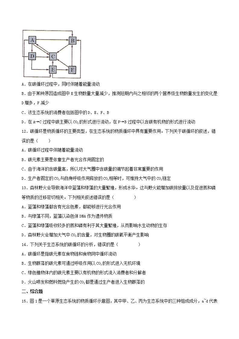 【名师特供】3.3.1《生态系统的物质循环(第1课时) 课件+练习(原卷+解析卷)03