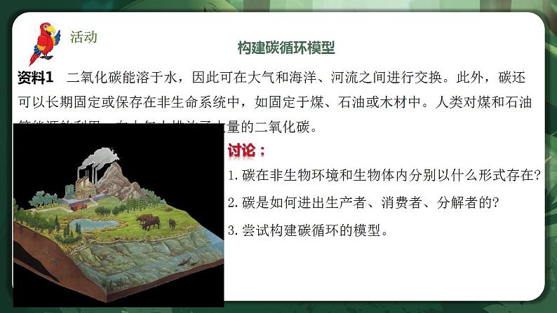 【名师特供】3.3.1《生态系统的物质循环(第1课时) 课件+练习(原卷+解析卷)04