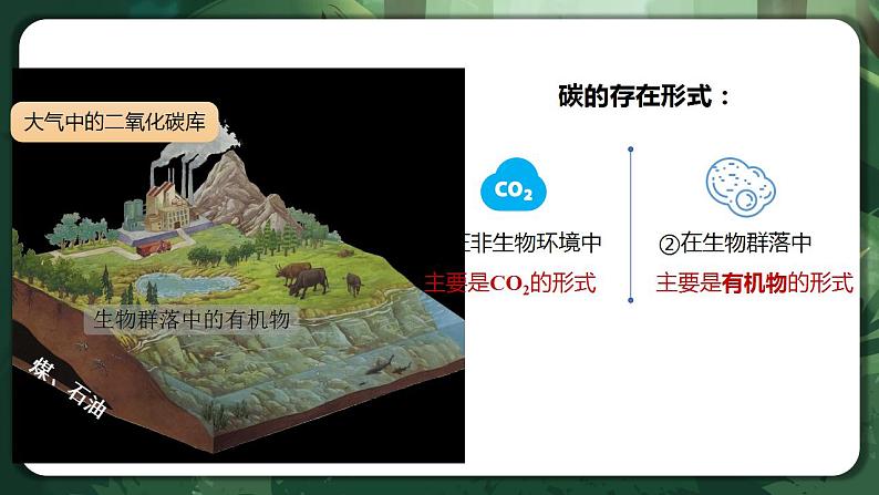 【名师特供】3.3.1《生态系统的物质循环(第1课时) 课件+练习(原卷+解析卷)05