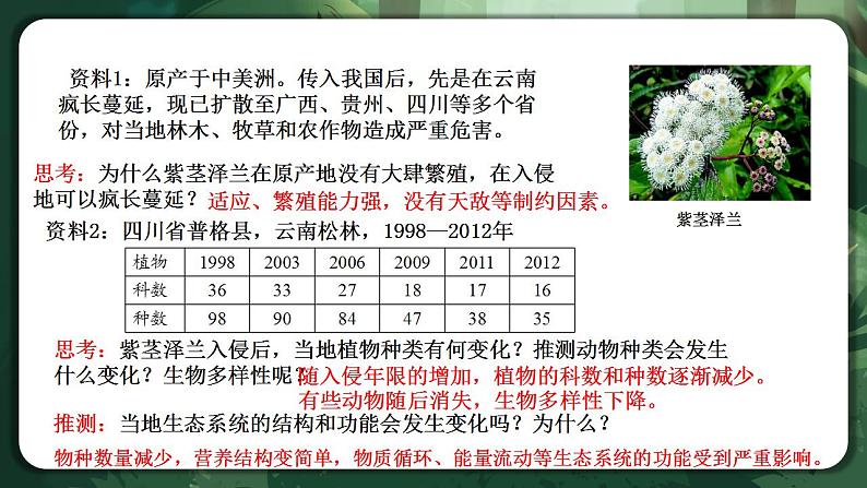 【名师特供】3.5《生态系统的稳定性》 课件+练习(原卷+解析卷)03